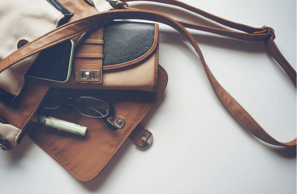 The Ultimate Accessory: Pakistani Bags and Purses - Maves Apparel