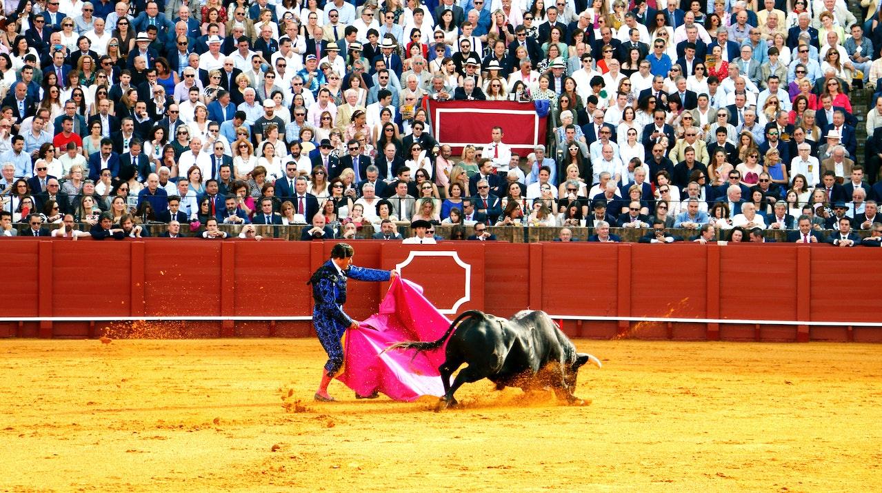 Bullfighter Clothing: Symbolism and Style - Maves Apparel